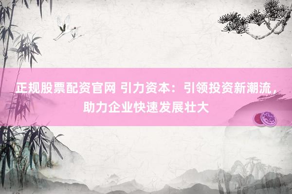 正规股票配资官网 引力资本：引领投资新潮流，助力企业快速发展壮大