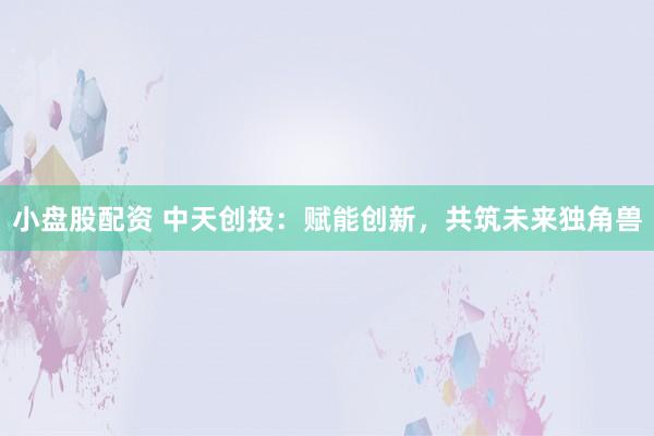 小盘股配资 中天创投：赋能创新，共筑未来独角兽
