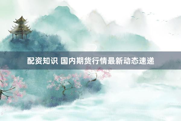 配资知识 国内期货行情最新动态速递