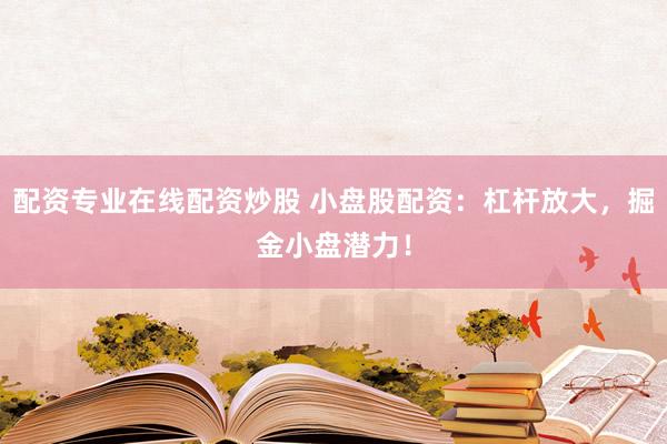 配资专业在线配资炒股 小盘股配资:杠杆放大,掘金小盘潜力!